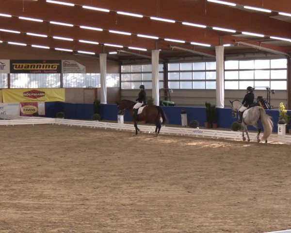 Reitturnier Isterberg 2024