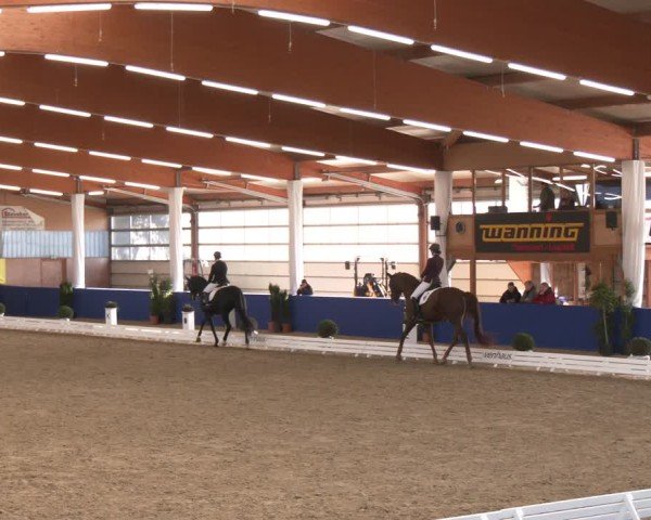Reitturnier Isterberg 2024
