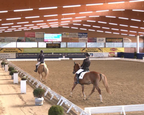 Reitturnier Isterberg 2024