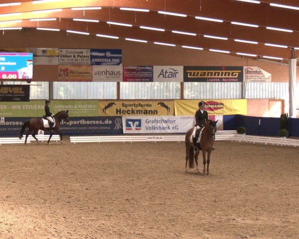 Reitturnier Isterberg 2024