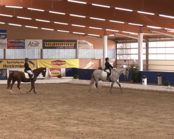 Reitturnier Isterberg 2024