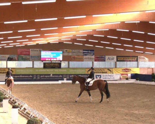 Reitturnier Isterberg 2024