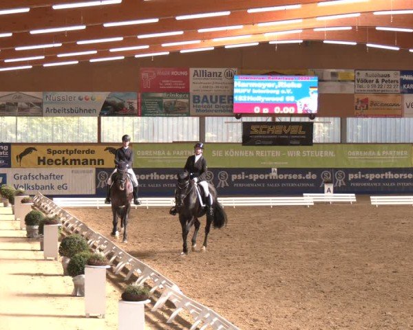 Reitturnier Isterberg 2024