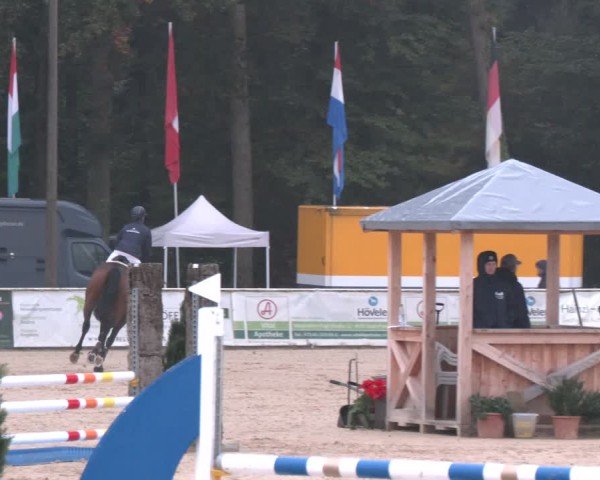 Reitturnier Ranshofen - Braunau am Inn 2024