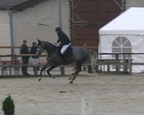 Reitturnier Kamen 2024