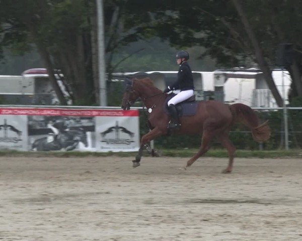 Reitturnier Kamen 2024