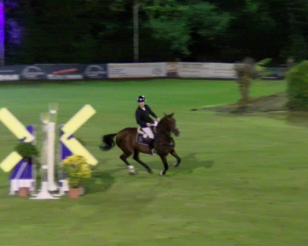 Reitturnier Scharnebeck 2024
