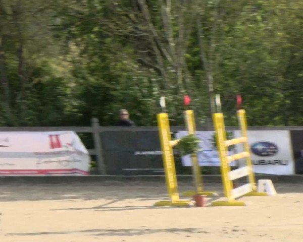 Pferdesporttage Neuendorf SO 2021