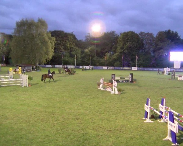 Reitturnier Scharnebeck 2024