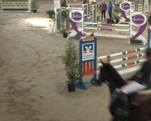 Reitturnier Xanten - Reitanlage Miss 2024