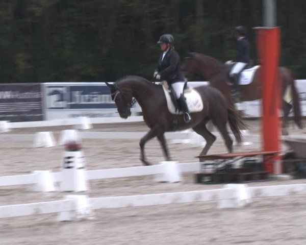 Reitturnier Igls 2024