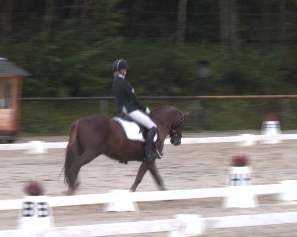Reitturnier Igls 2024