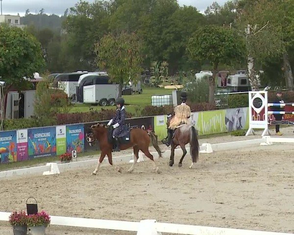 Reitturnier Frankenhof-Sonnefeld/Ofr. 2024
