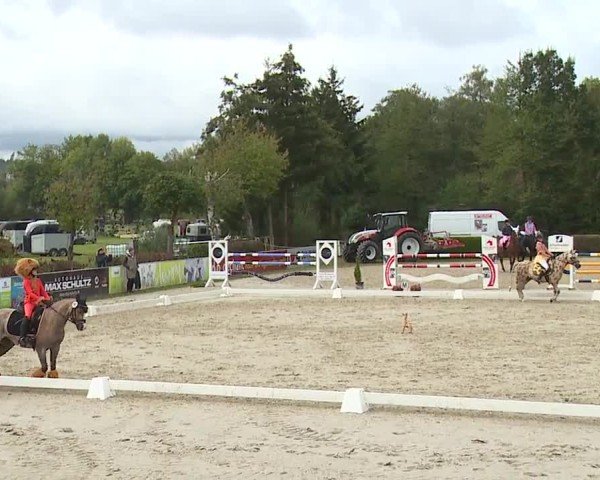 Reitturnier Frankenhof-Sonnefeld/Ofr. 2024