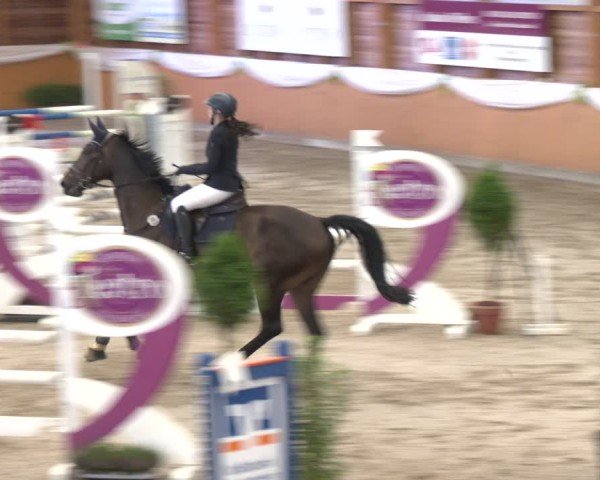 Reitturnier Xanten - Reitanlage Miss 2024