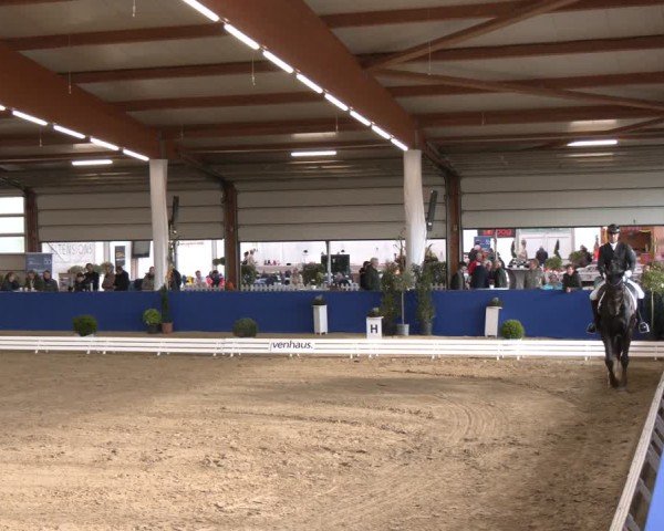 Reitturnier Isterberg 2024