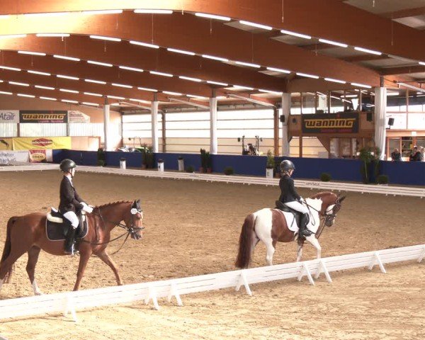 Reitturnier Isterberg 2024