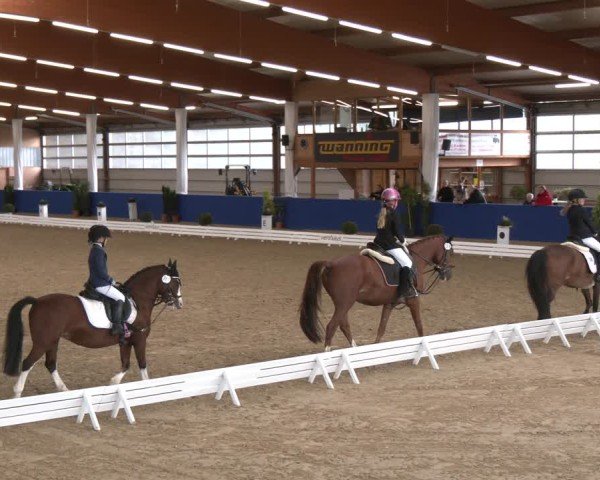 Reitturnier Isterberg 2024