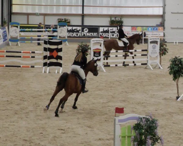 Reitturnier Borken 2024