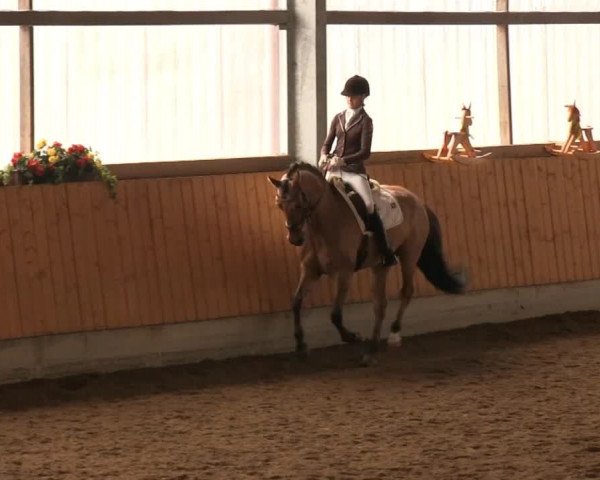 Großes Reit- und Springturnier 2013 des RuF