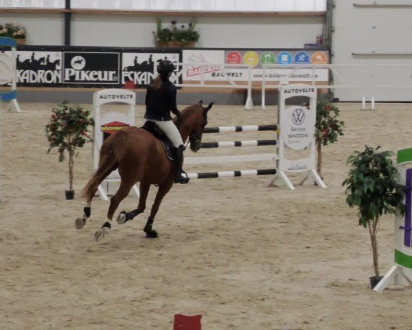Reitturnier Borken 2024