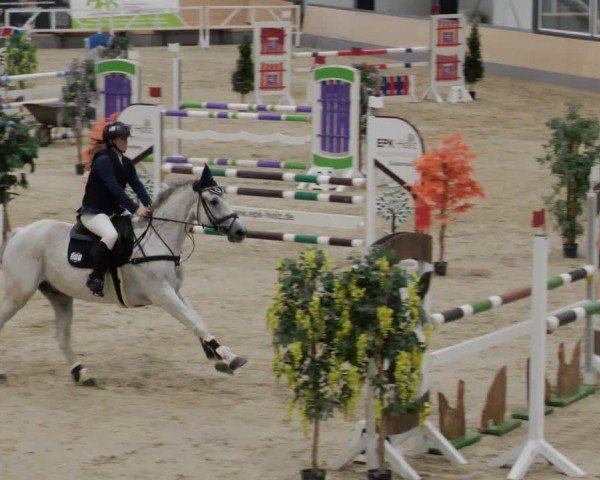 Reitturnier Borken 2024