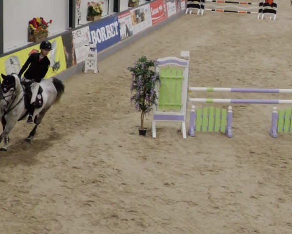 Reitturnier Borken 2024