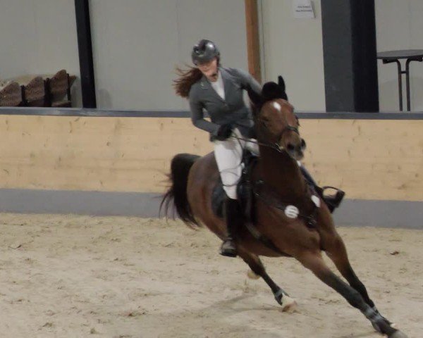 Reitturnier Borken 2024
