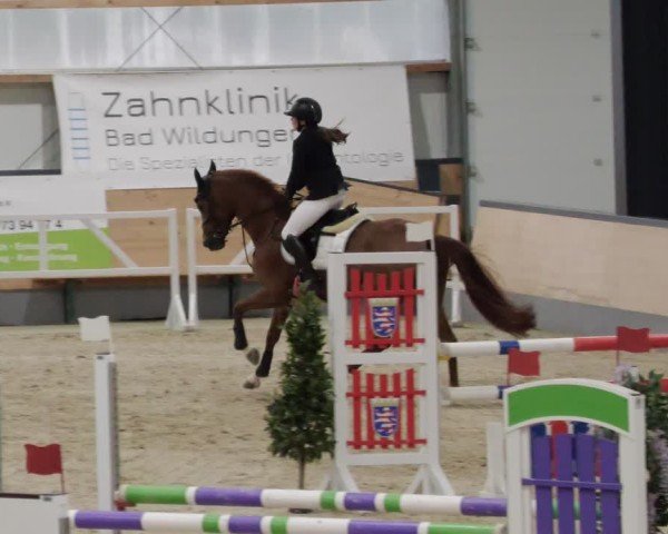 Reitturnier Borken 2024