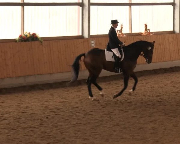 Großes Reit- und Springturnier 2013 des RuF