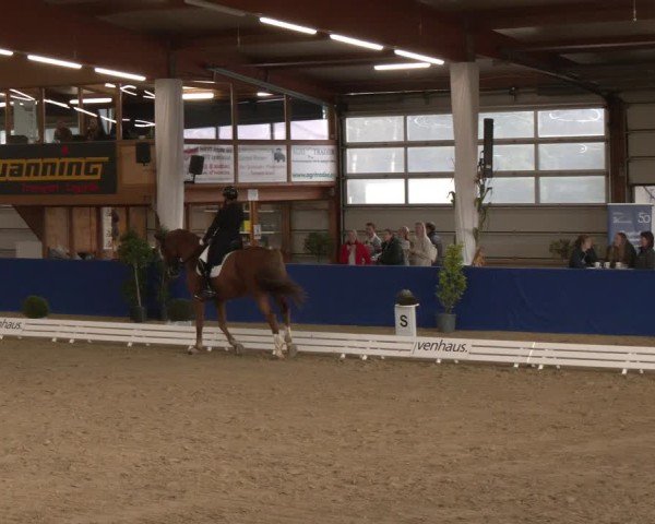 Reitturnier Isterberg 2024