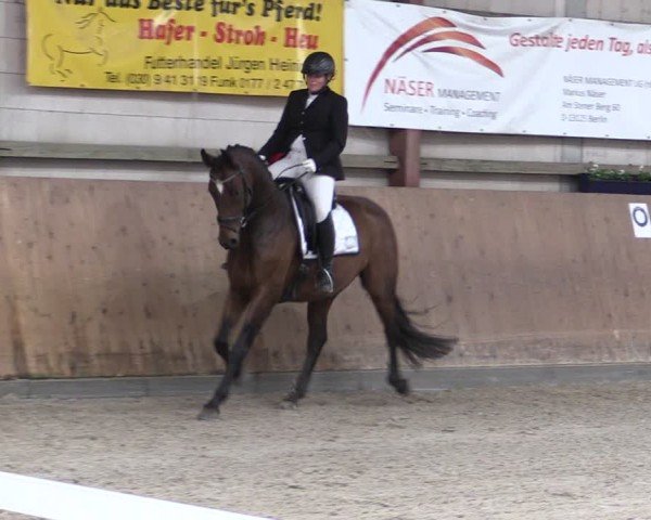 Reitturnier Elisenau 2024