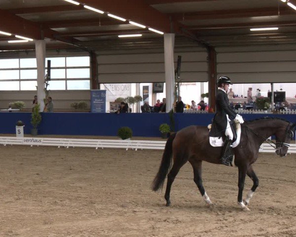 Reitturnier Isterberg 2024