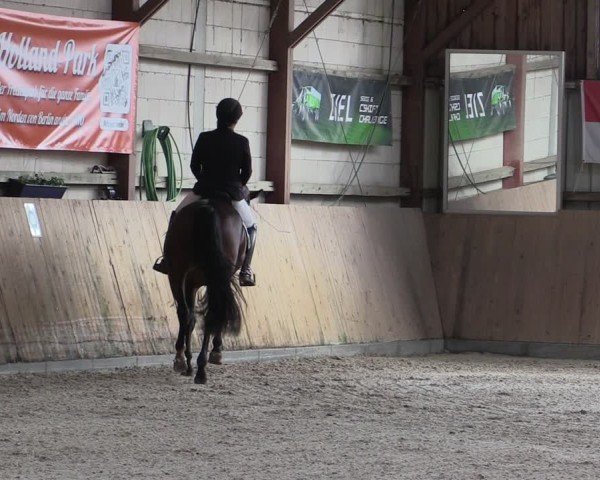Reitturnier Elisenau 2024