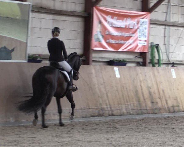 Reitturnier Elisenau 2024