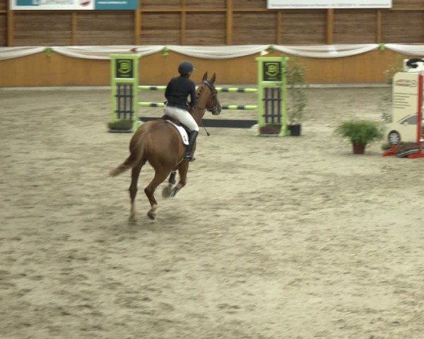 Reitturnier Xanten - Reitanlage Miss 2024