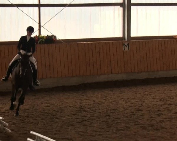 Reitturnier Herbern 2013