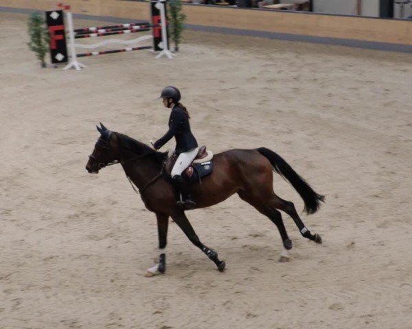 Reitturnier Borken 2024