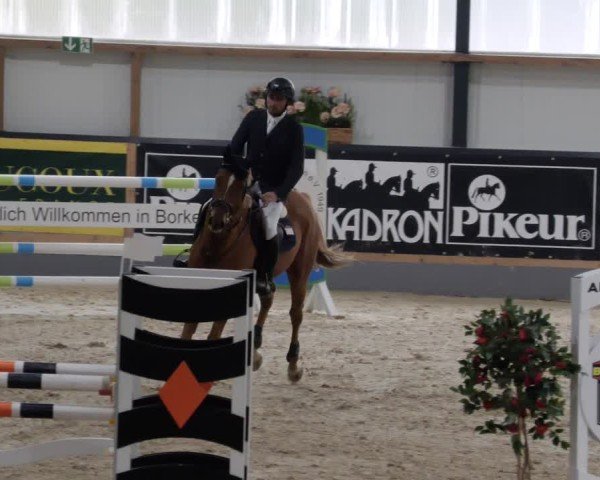 Reitturnier Borken 2024