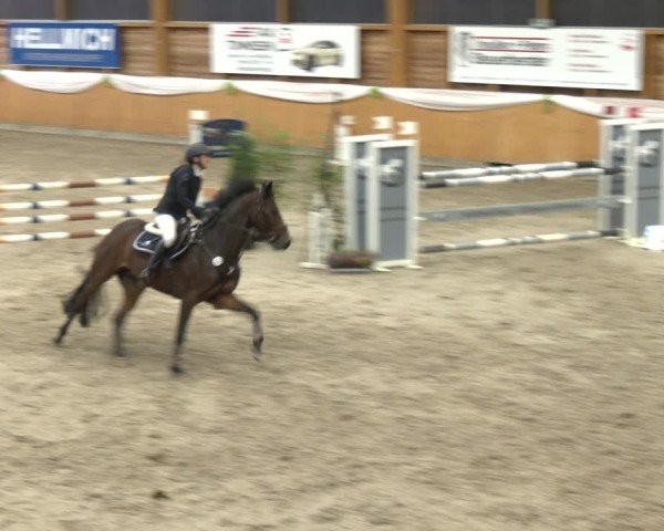 Reitturnier Xanten - Reitanlage Miss 2024