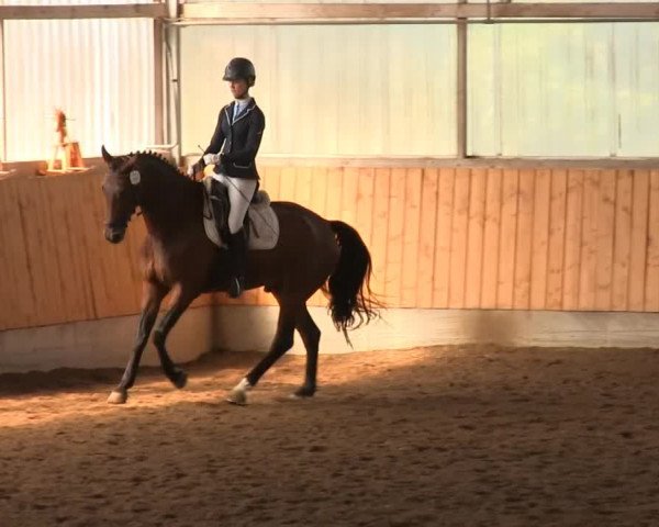 Reitturnier Herbern 2013