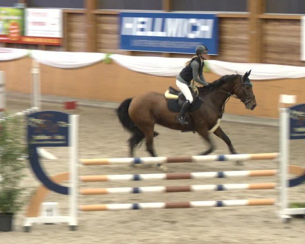 Reitturnier Xanten - Reitanlage Miss 2024
