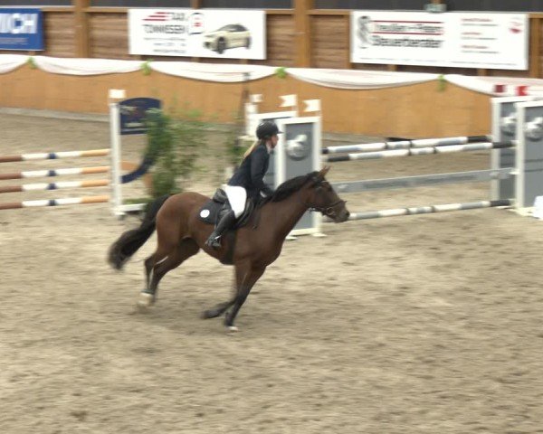 Reitturnier Xanten - Reitanlage Miss 2024