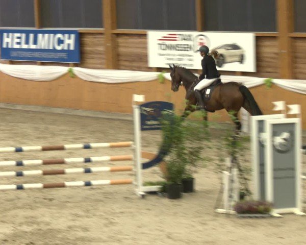 Reitturnier Xanten - Reitanlage Miss 2024