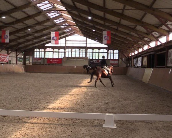 Reitturnier Elisenau 2024