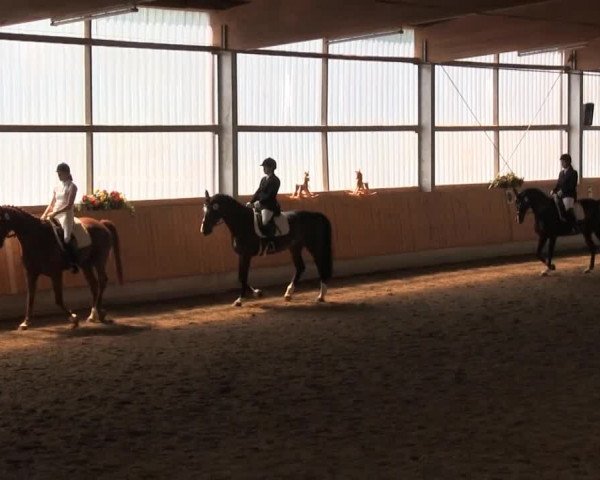 Reitturnier Herbern 2013