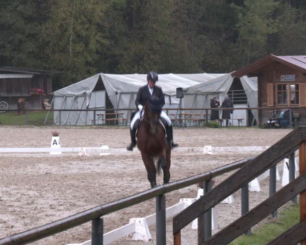 Reitturnier Igls 2024