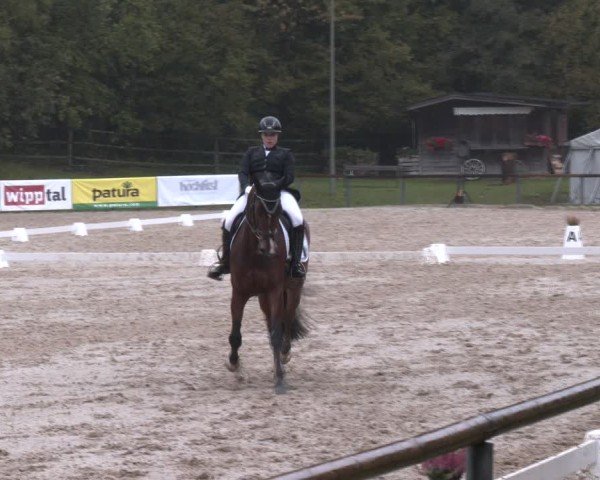 Reitturnier Igls 2024