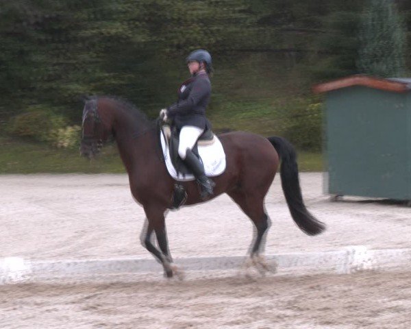 Reitturnier Igls 2024