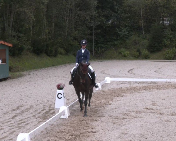 Reitturnier Igls 2024